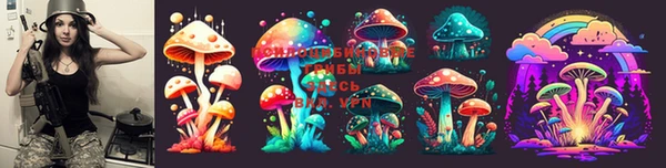 бошки Мегион