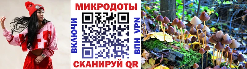 купить закладку  Сорск  KRAKEN ссылки  Галлюциногенные грибы Cubensis 