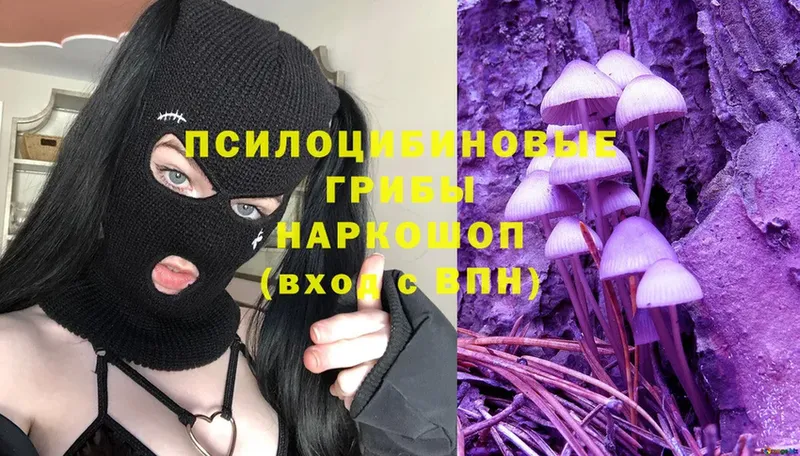 Галлюциногенные грибы Psilocybine cubensis  блэк спрут ССЫЛКА  Сорск  хочу  